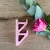 Personalised Teacher Hooks