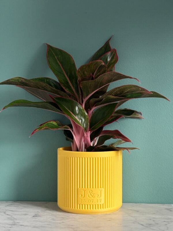 Personalised Plant Pot