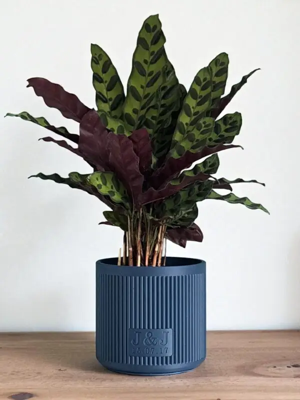 Personalised Plant Pot