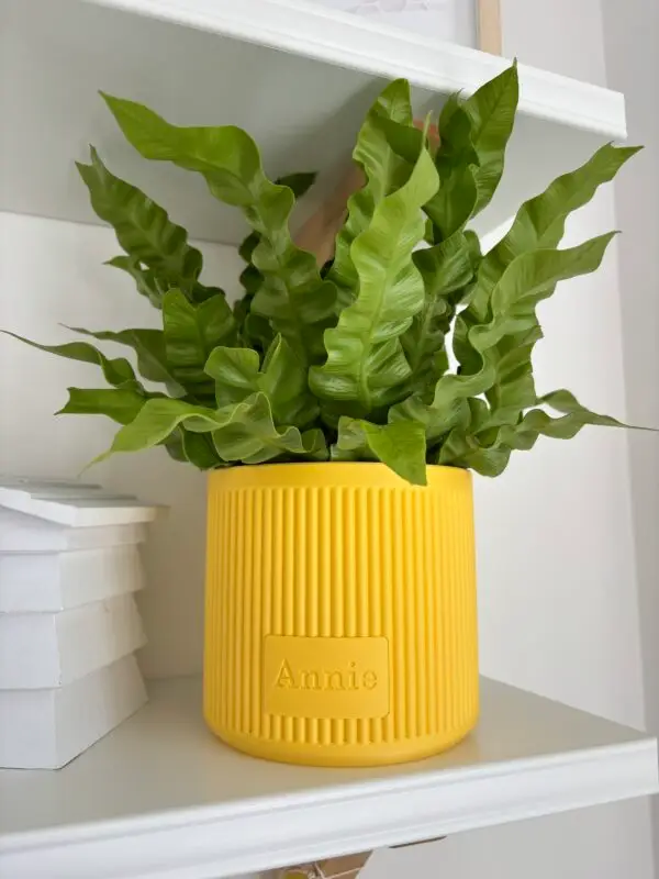 Personalised Plant Pot