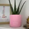 Personalised Plant Pot